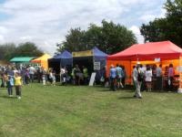 2011 Lions stalls