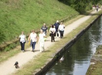 Campaign Sight First II sponsored walk