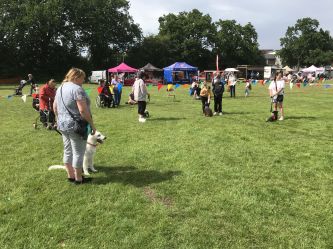 Dog Show entrants c