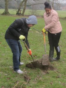 Tree planting 3