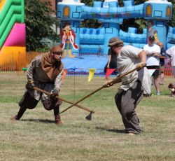 Vikings c